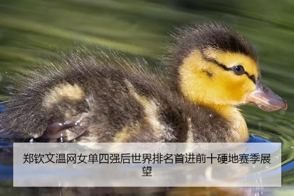 zheng-qin-wen-wen-wang-nv-dan-si-qiang-hou-shi-jie-pai-ming-shou-jin-qian-shi-ying-di-sai-ji-zhan-wang-2-292.jpg